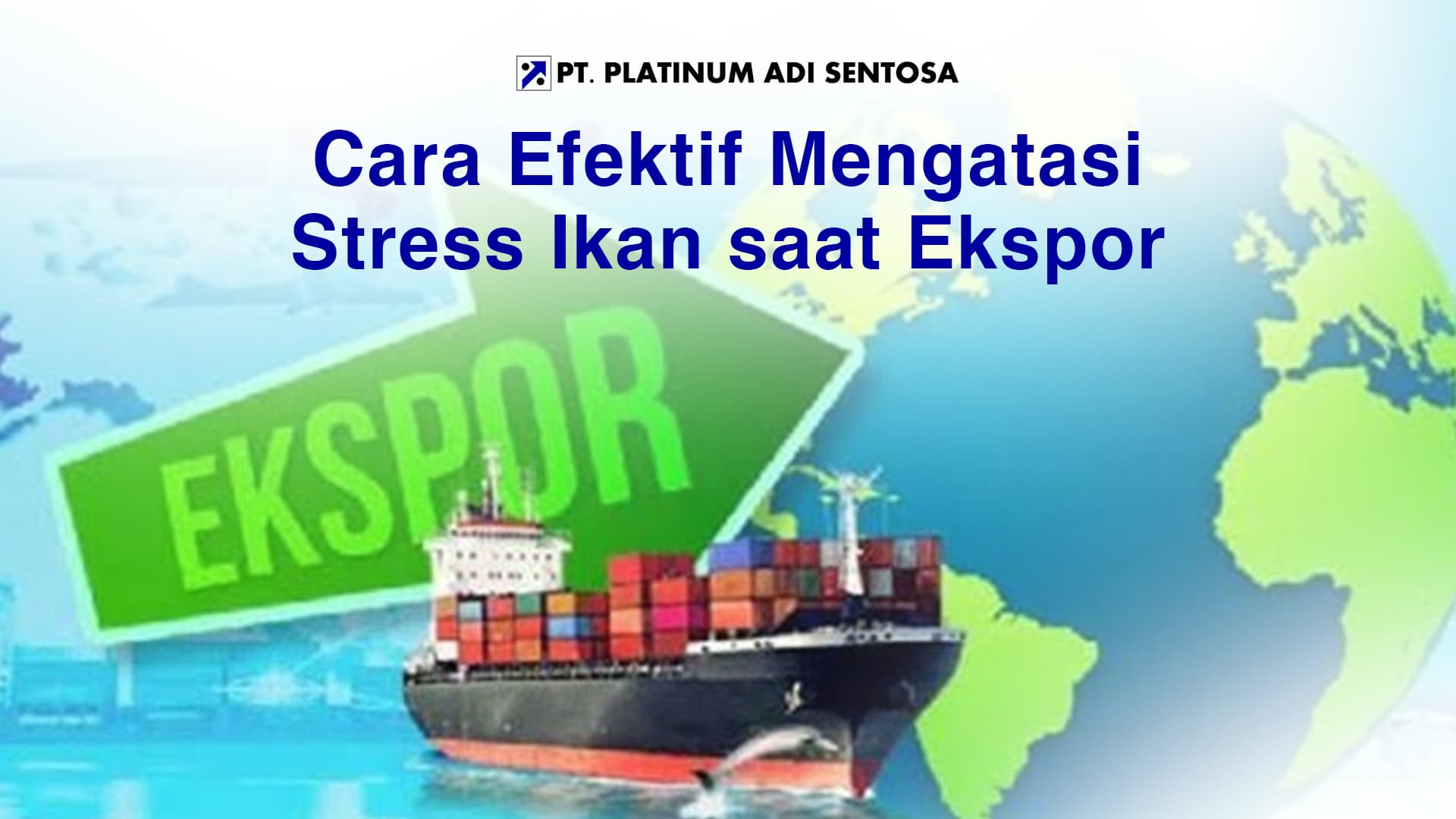Cara Efektif Mengatasi Stress Ikan saat Ekspor