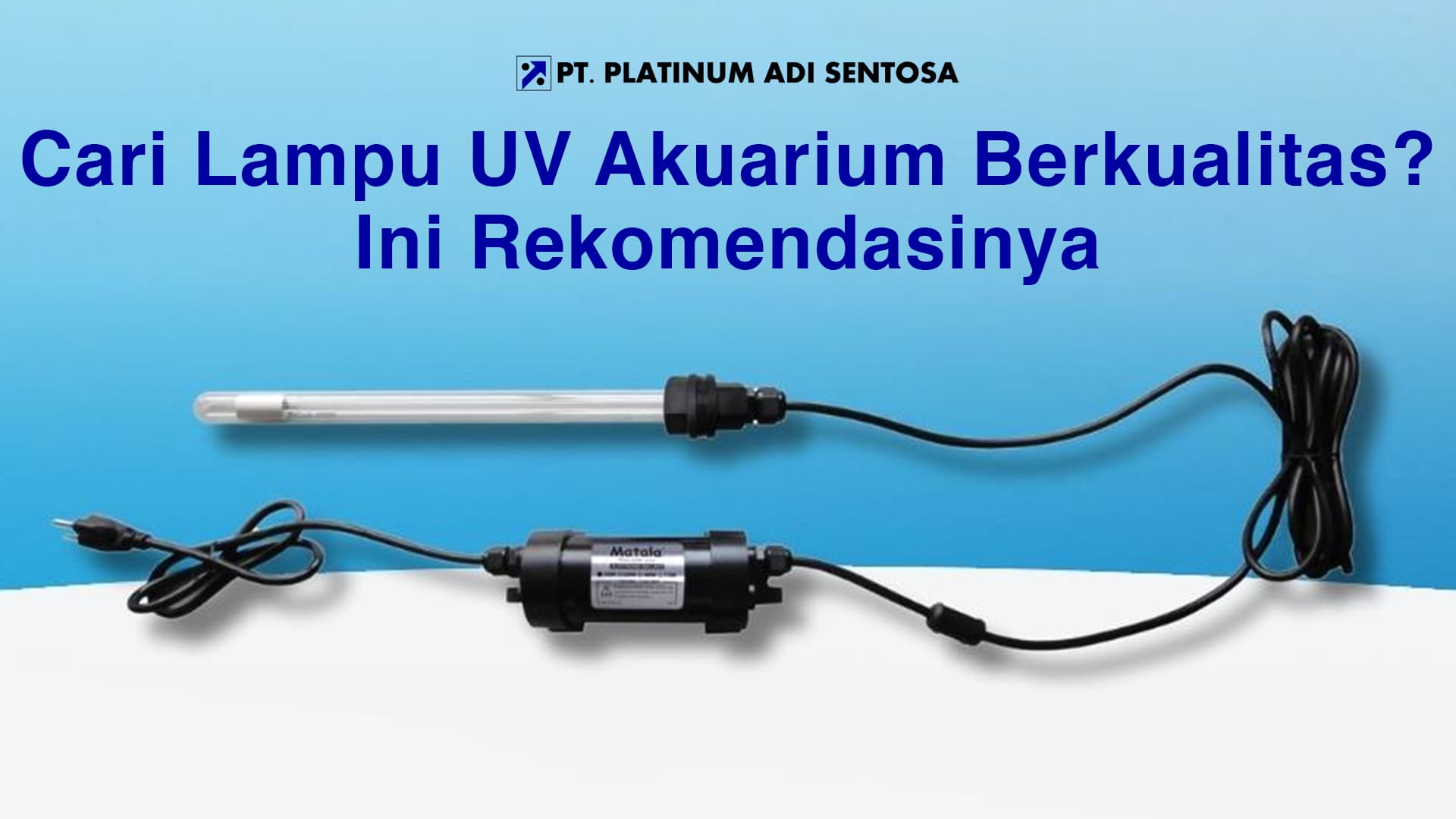 Cari Lampu UV Akuarium Berkualitas? Ini Rekomendasinya