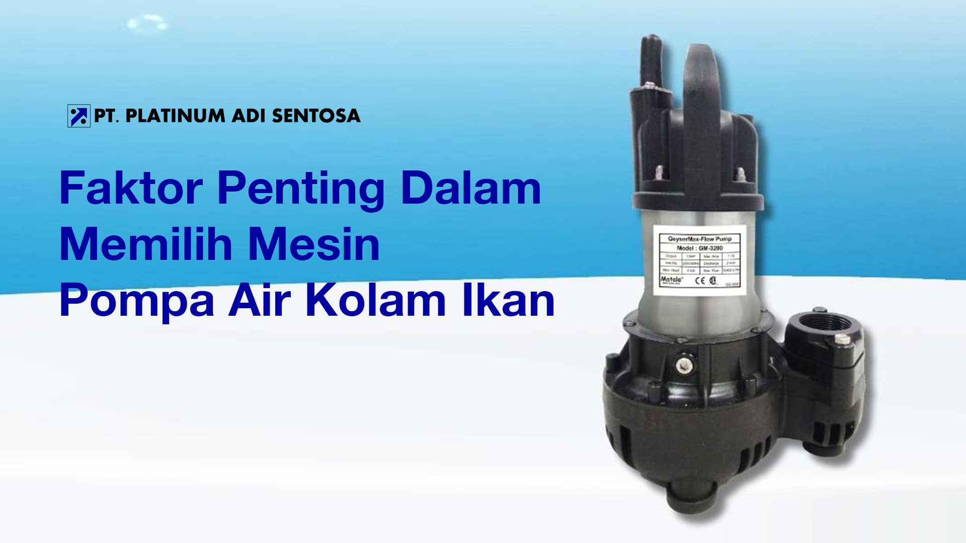 Faktor Penting Dalam Memilih Mesin Pompa Air Kolam Ikan