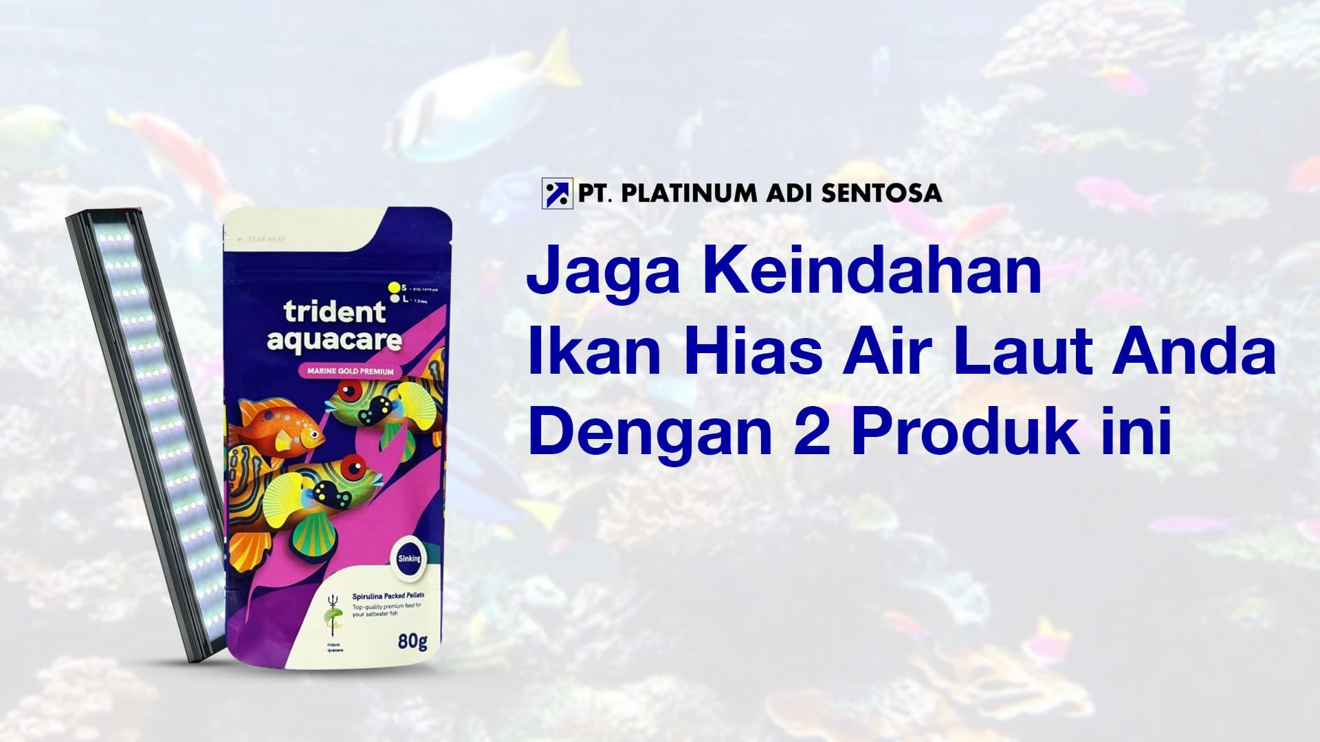 Jaga Keindahan Ikan Hias Air Laut Anda Dengan 2 Produk ini