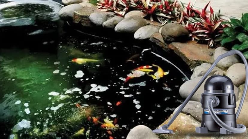 8 Fungsi Vacuum Kolam Ikan