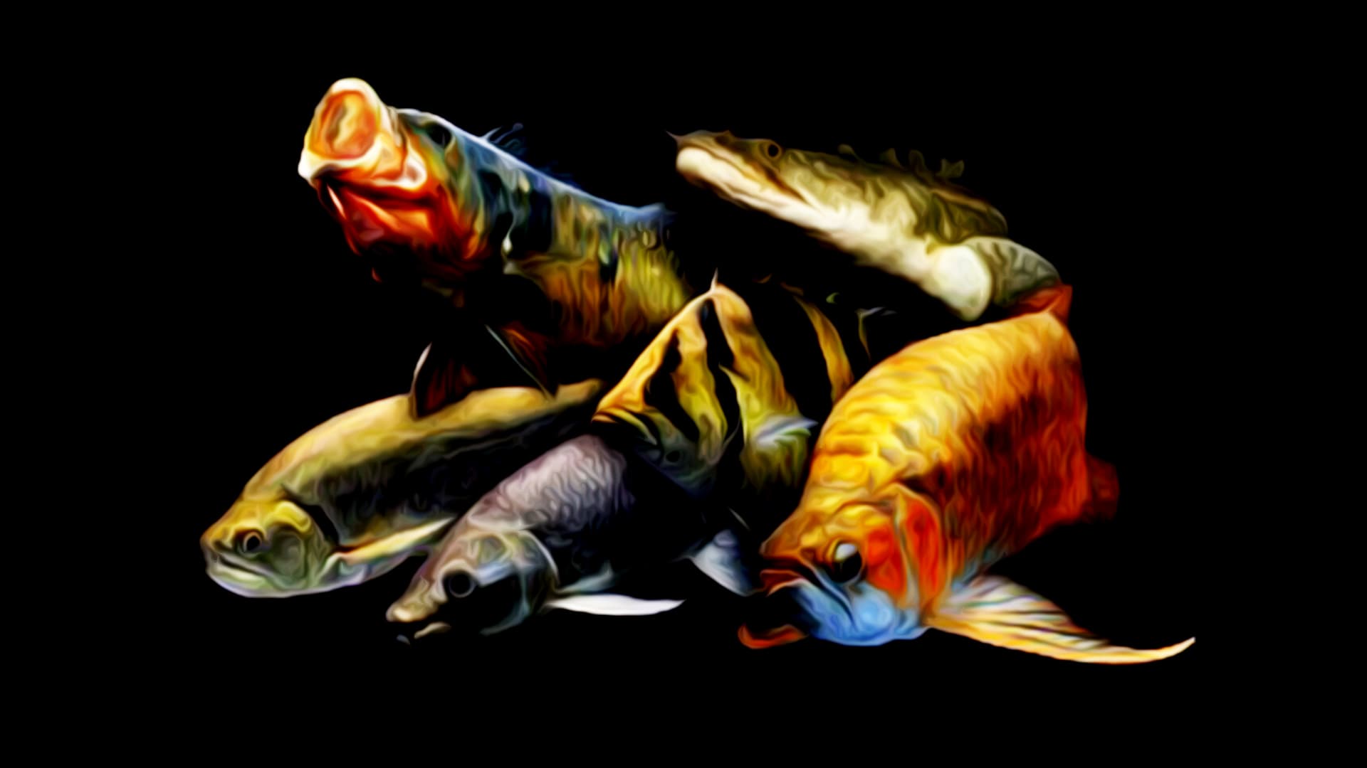 Cara Memilih dan Merawat Indukan Ikan Predator yang Tepat