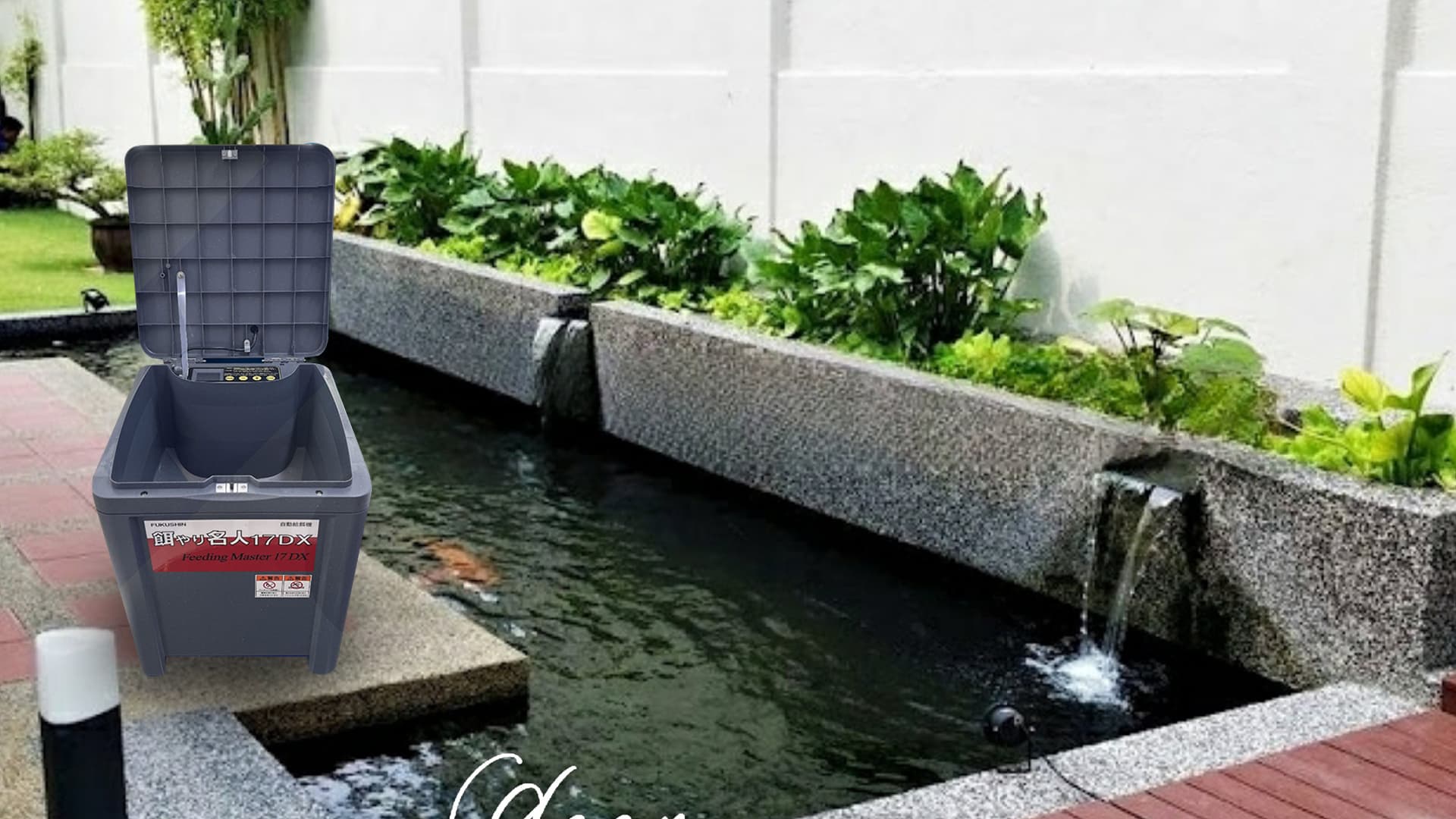 Pentingkah Memiliki Auto Feeder untuk Koi? Ini Jawabannya