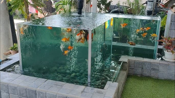 Pentingnya Air Jernih Bebas Patogen untuk Ekosistem Akuarium dan Kolam