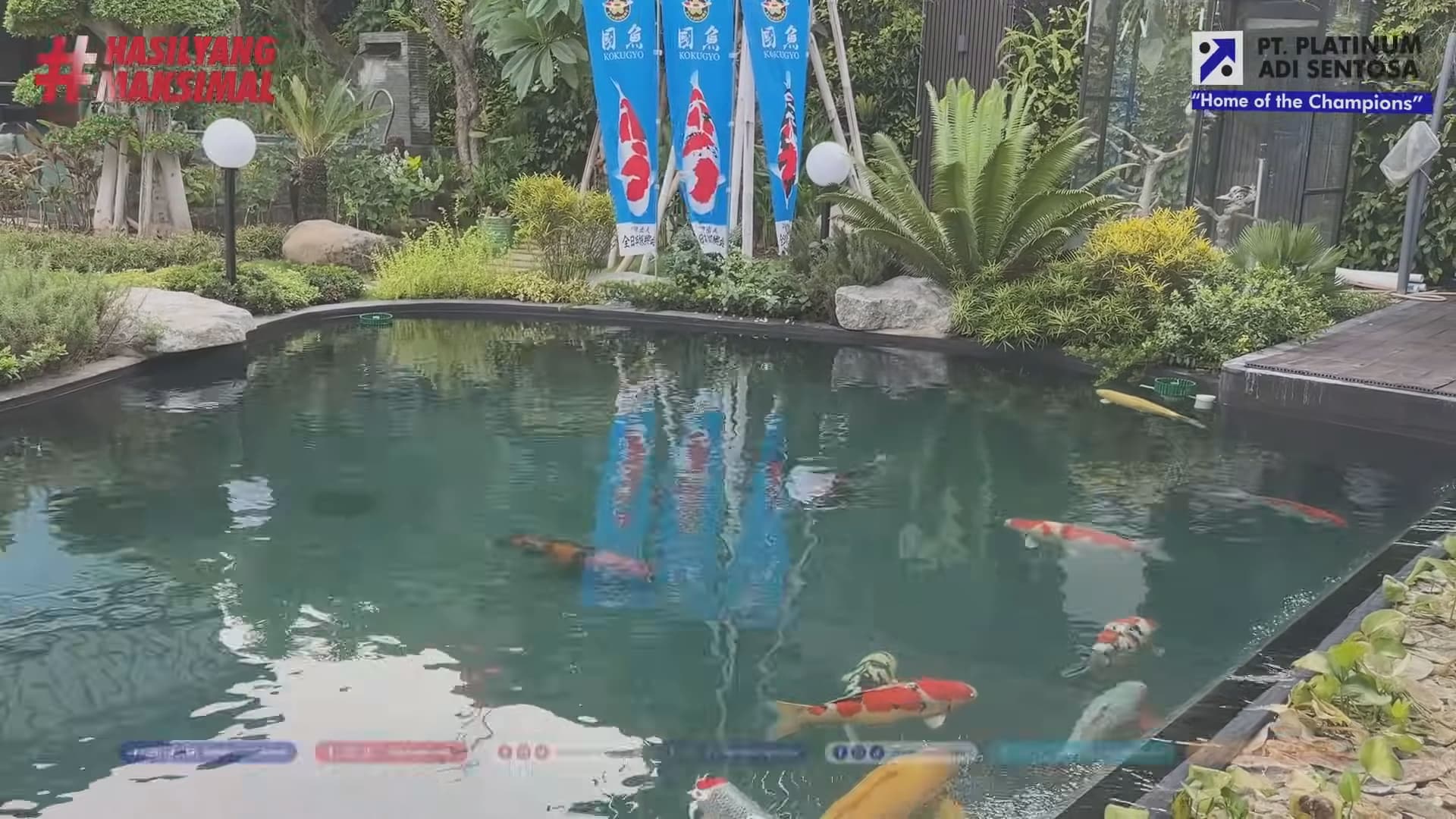 Tips Memilih Sistem Aerasi Kolam Ikan Terbaik untuk Anda