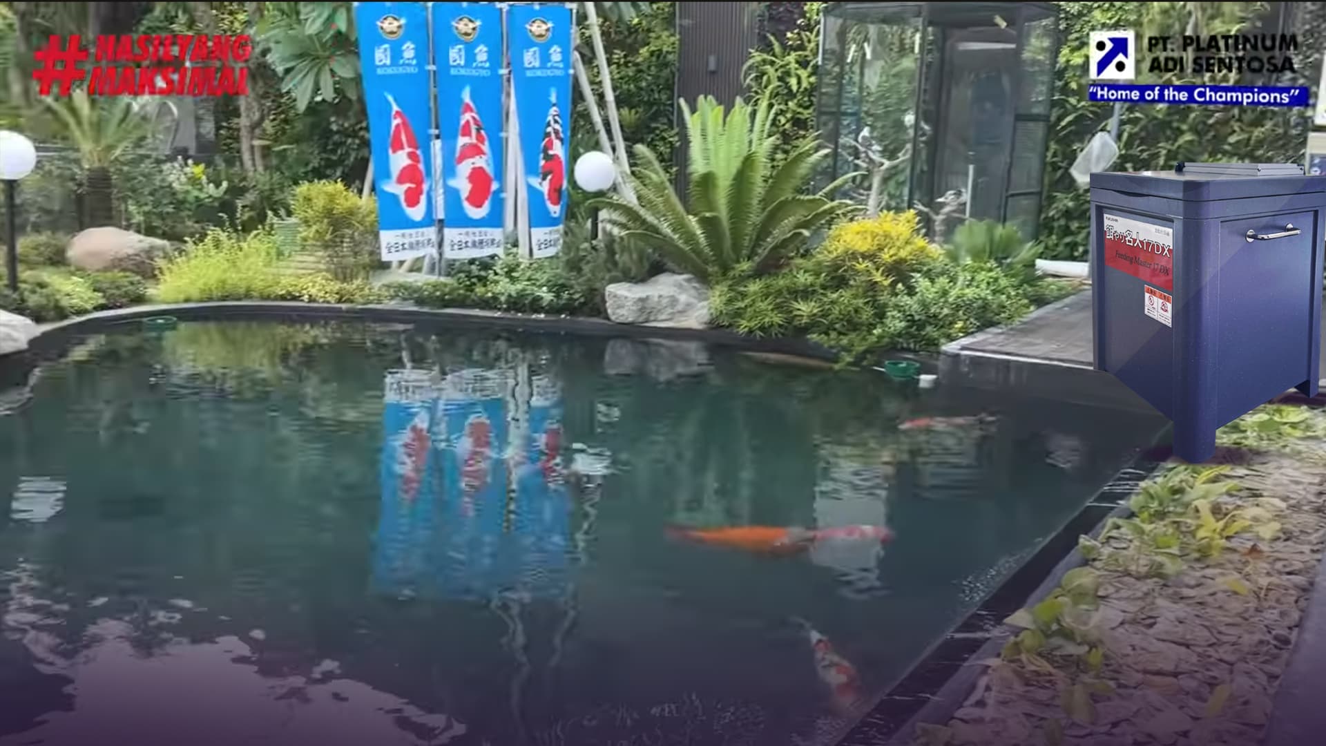 Pemberian Pakan Ikan Tepat Waktu Jadi Mudah Dengan Alat ini