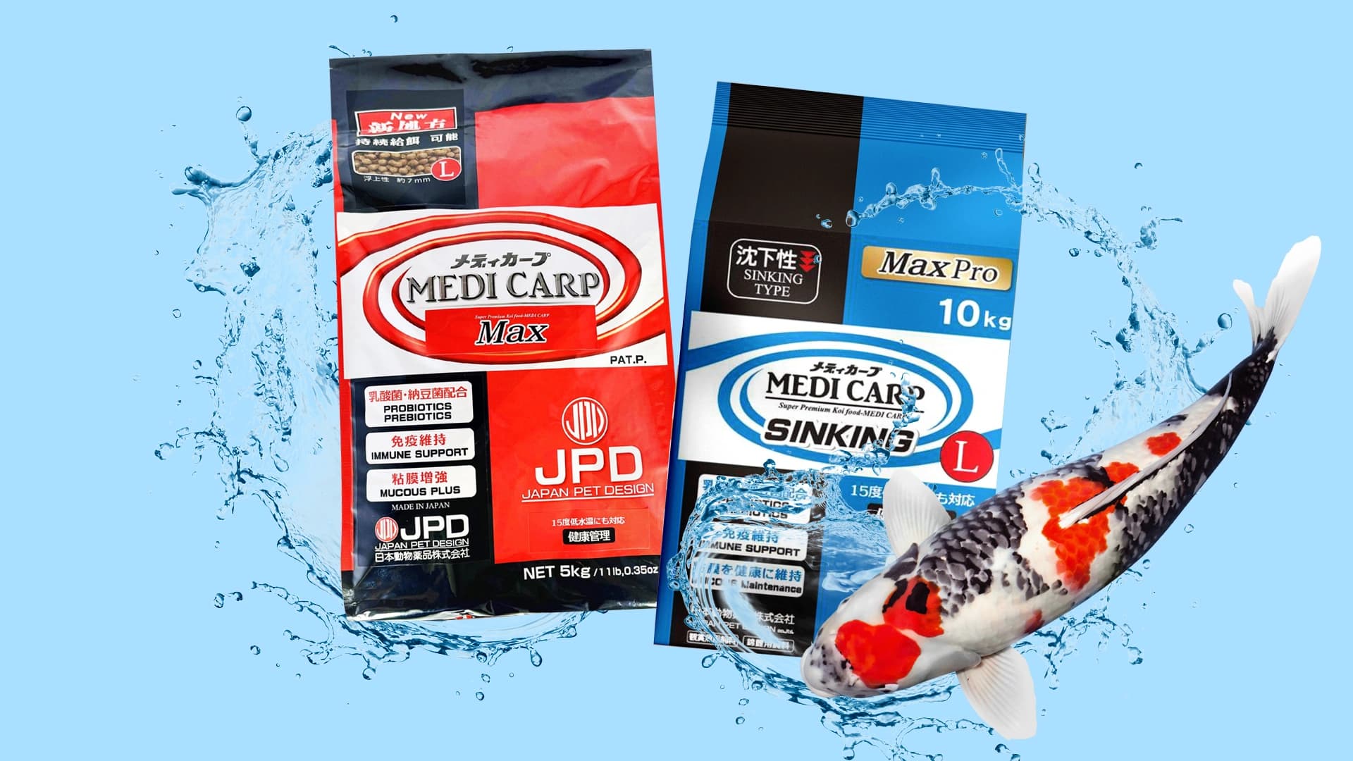 Daya Tahan Tubuh Koi Maksimal Dengan JPD Medicarp Series