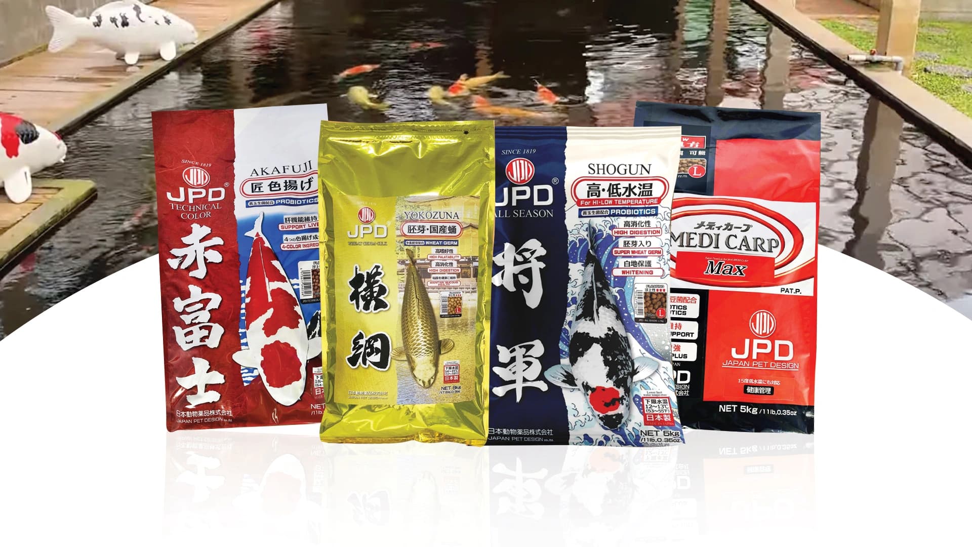 Strategi Juara! Amunisi Komplit untuk Koi Show Bergengsi Anda