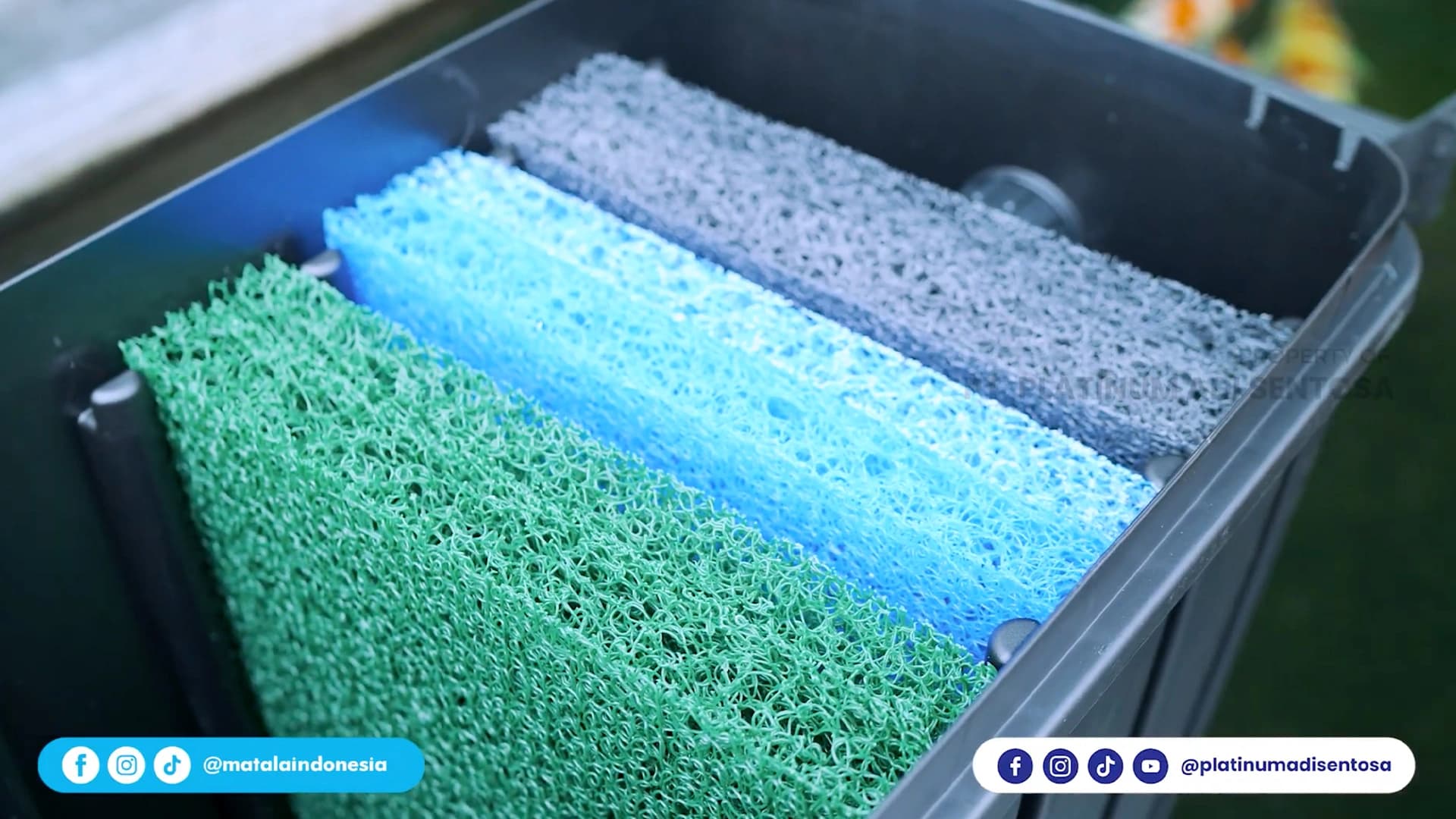 Media Filter Akuakultur Ini Bikin Ikan Sehat & Kolam Jernih