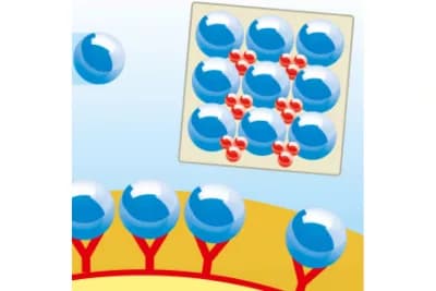 Menerapkan Teknologi Coral Force untuk Pertumbuhan Tulang