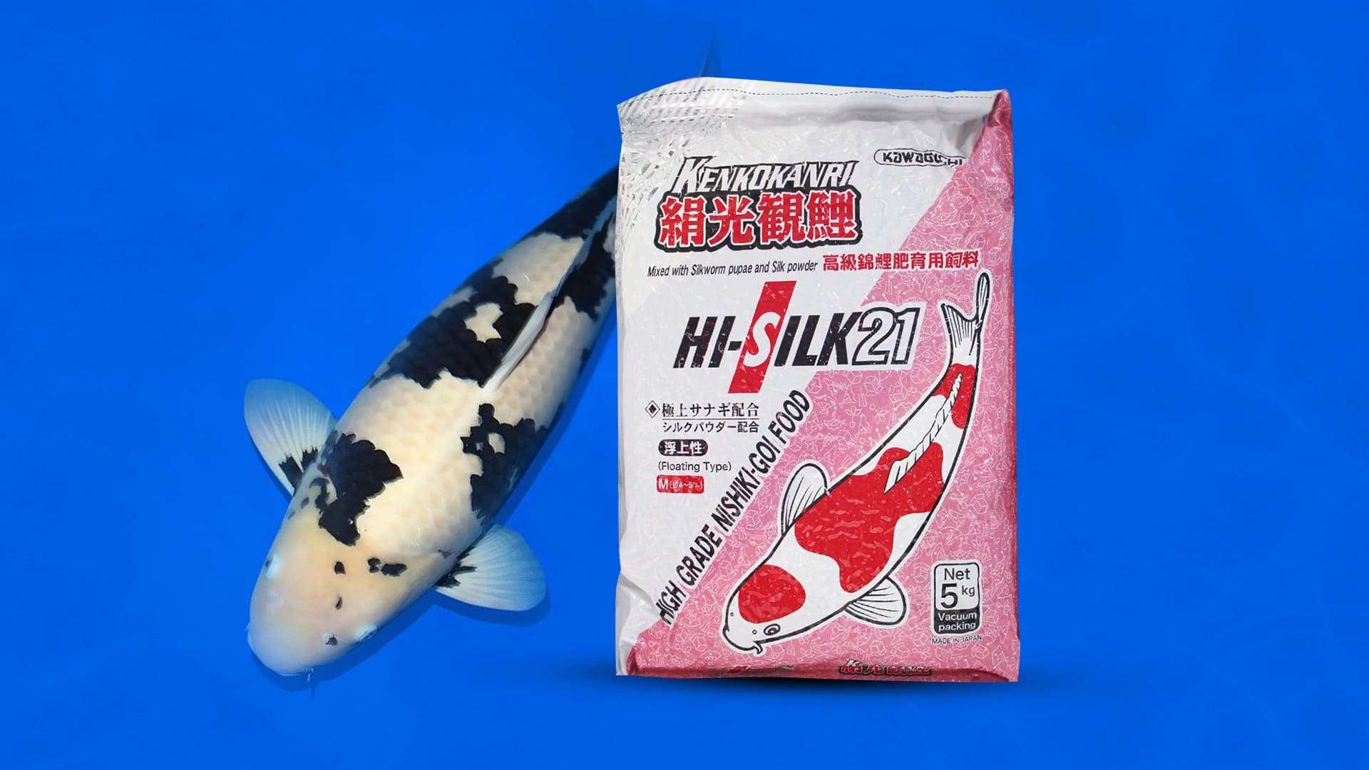 Rekomendasi Pakan Untuk Memperkuat Warna Koi Shiro