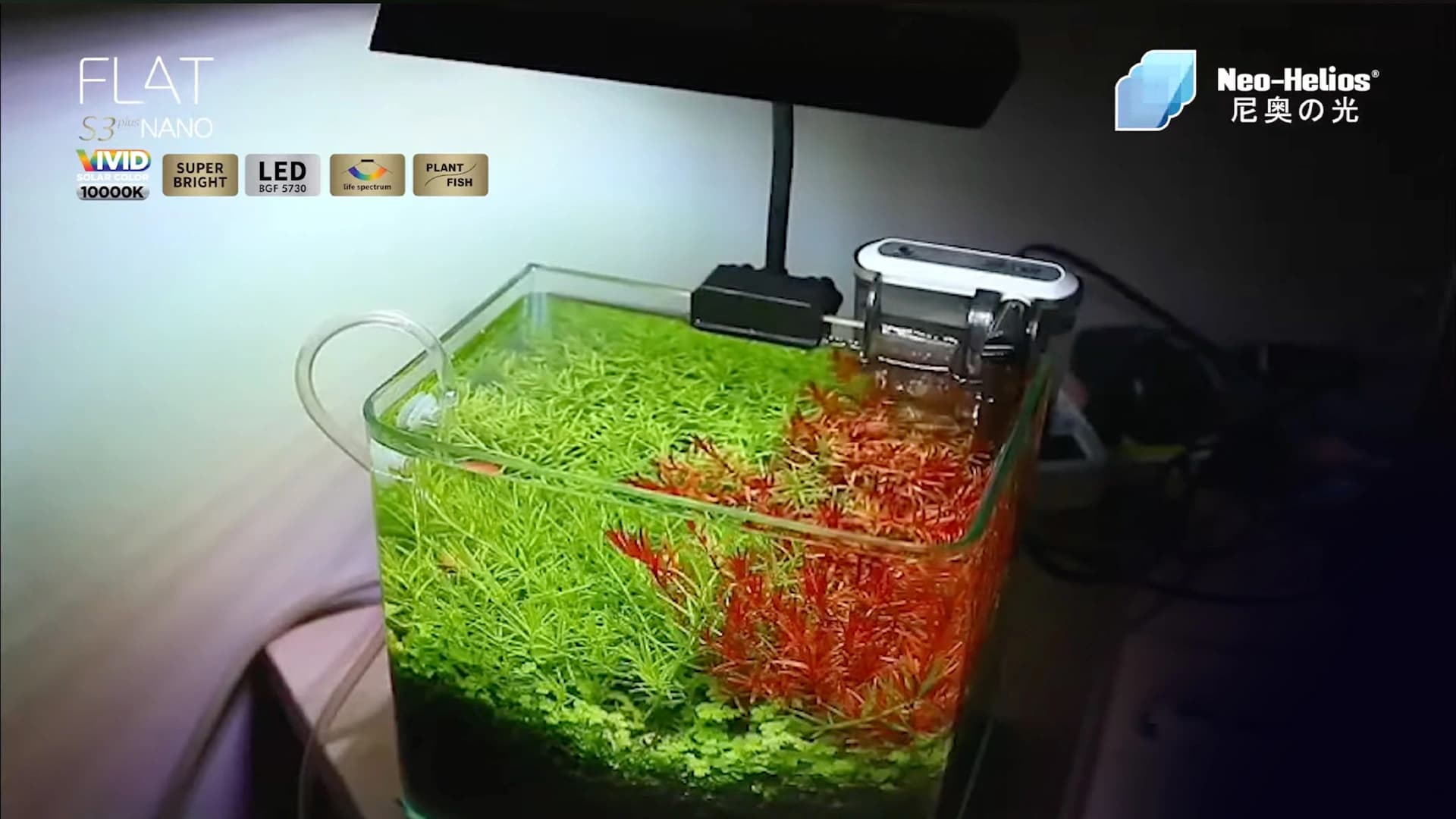 Intip 8 Keunggulan Lampu Nano yang Mengubah Akuarium Anda