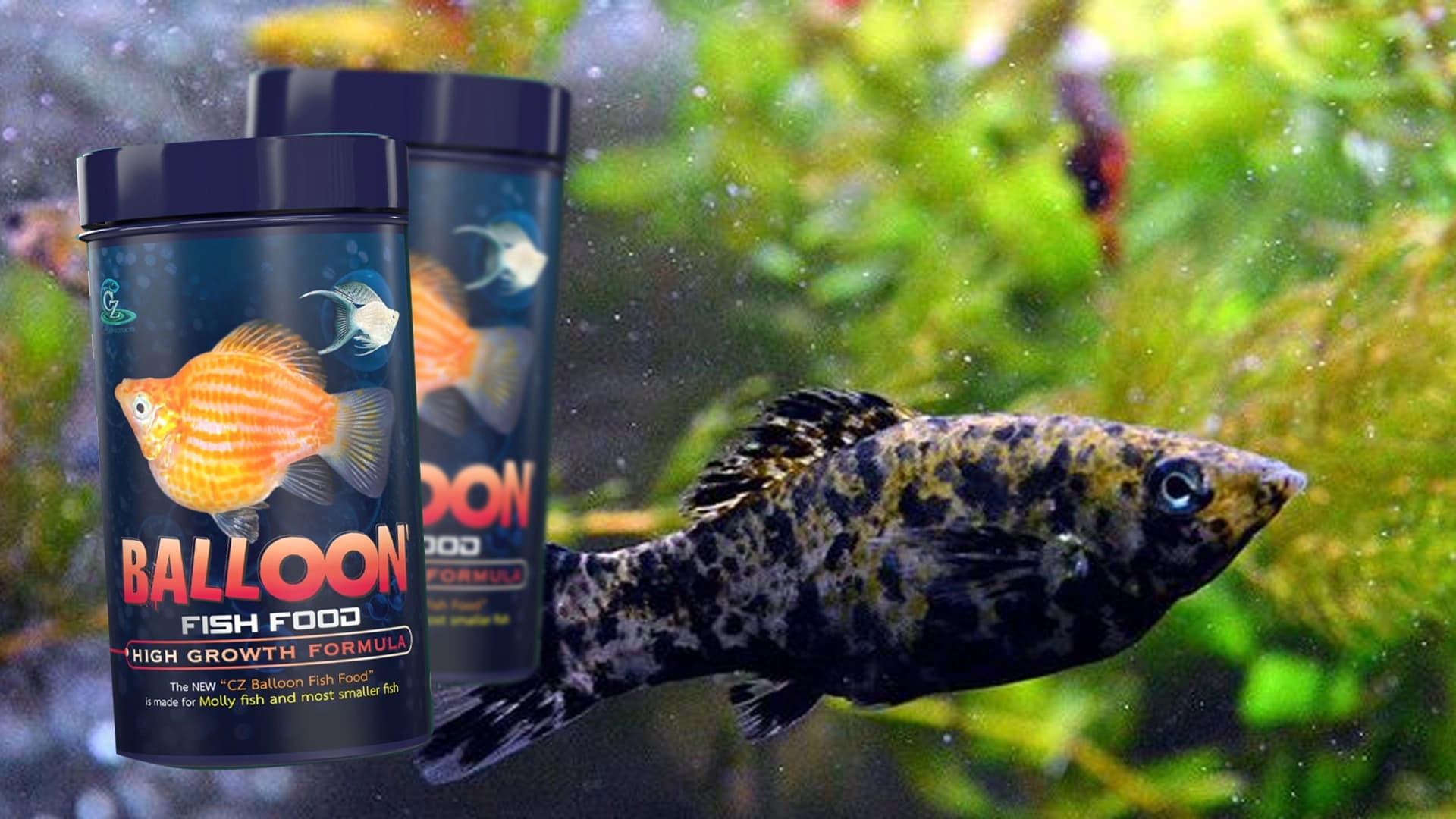 Pakan Ikan Molly untuk Pertumbuhan Cepat: Balloon Fish Food High Growth Formula