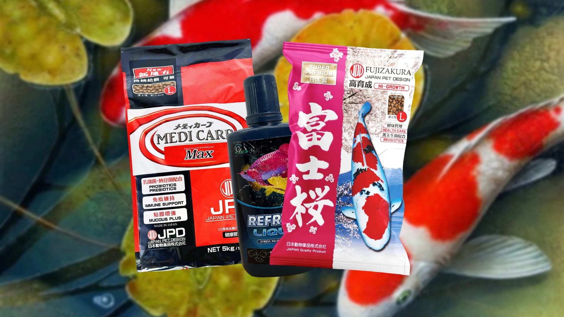 Produk Ini Dapat Meningkatkan Imun Koi Sebelum Kontes