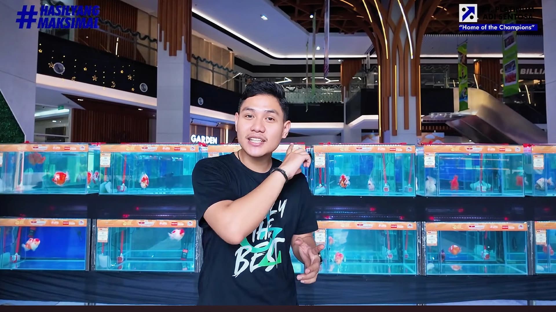 Gambaran Peluang Bisnis Ekspor Ikan Mas Koki Indonesia