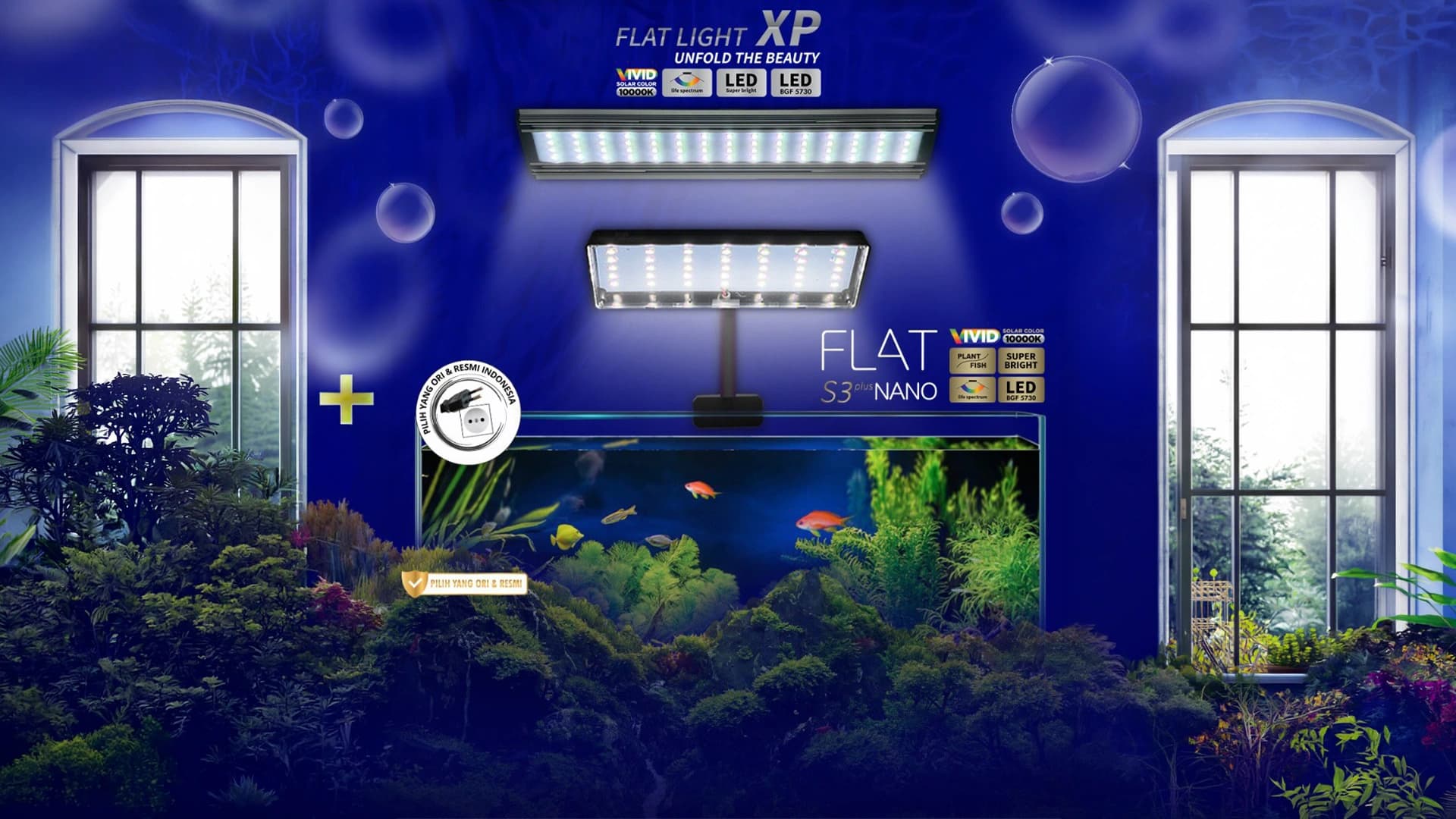 6 Alasan Pentingnya Sirkulasi Oksigen Kolam Air Ikan