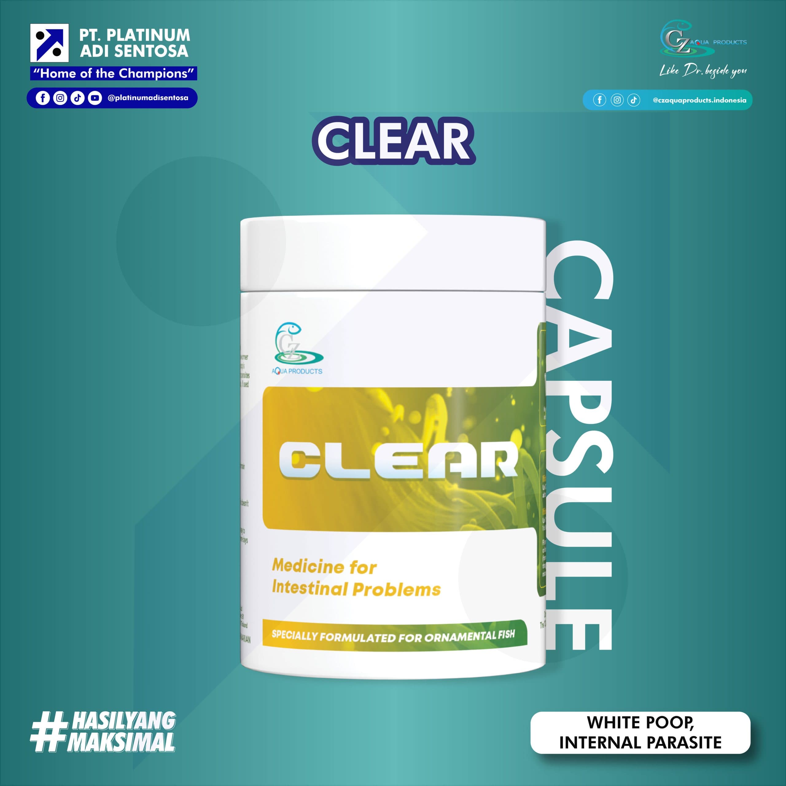 CLEAR