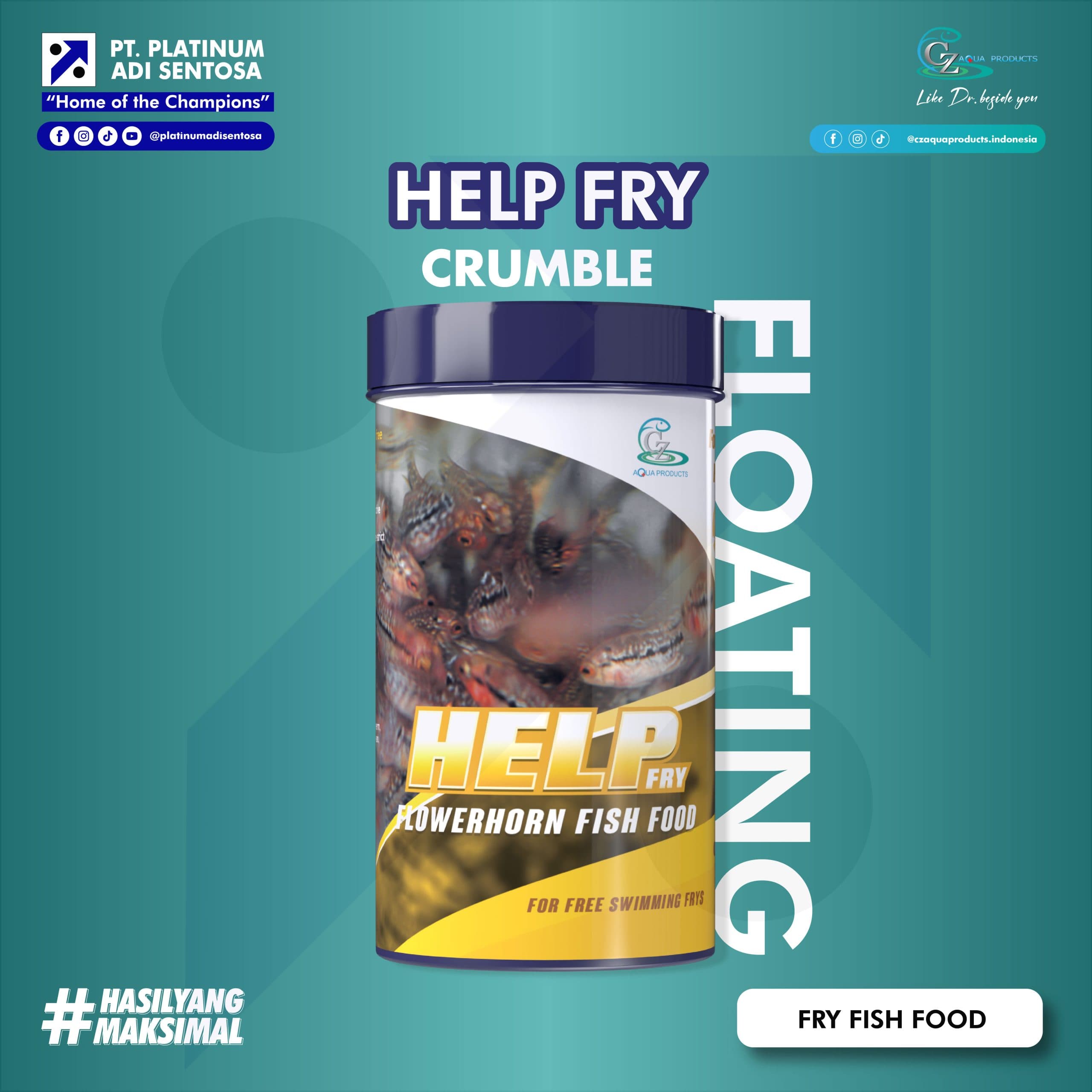 HELP FRY