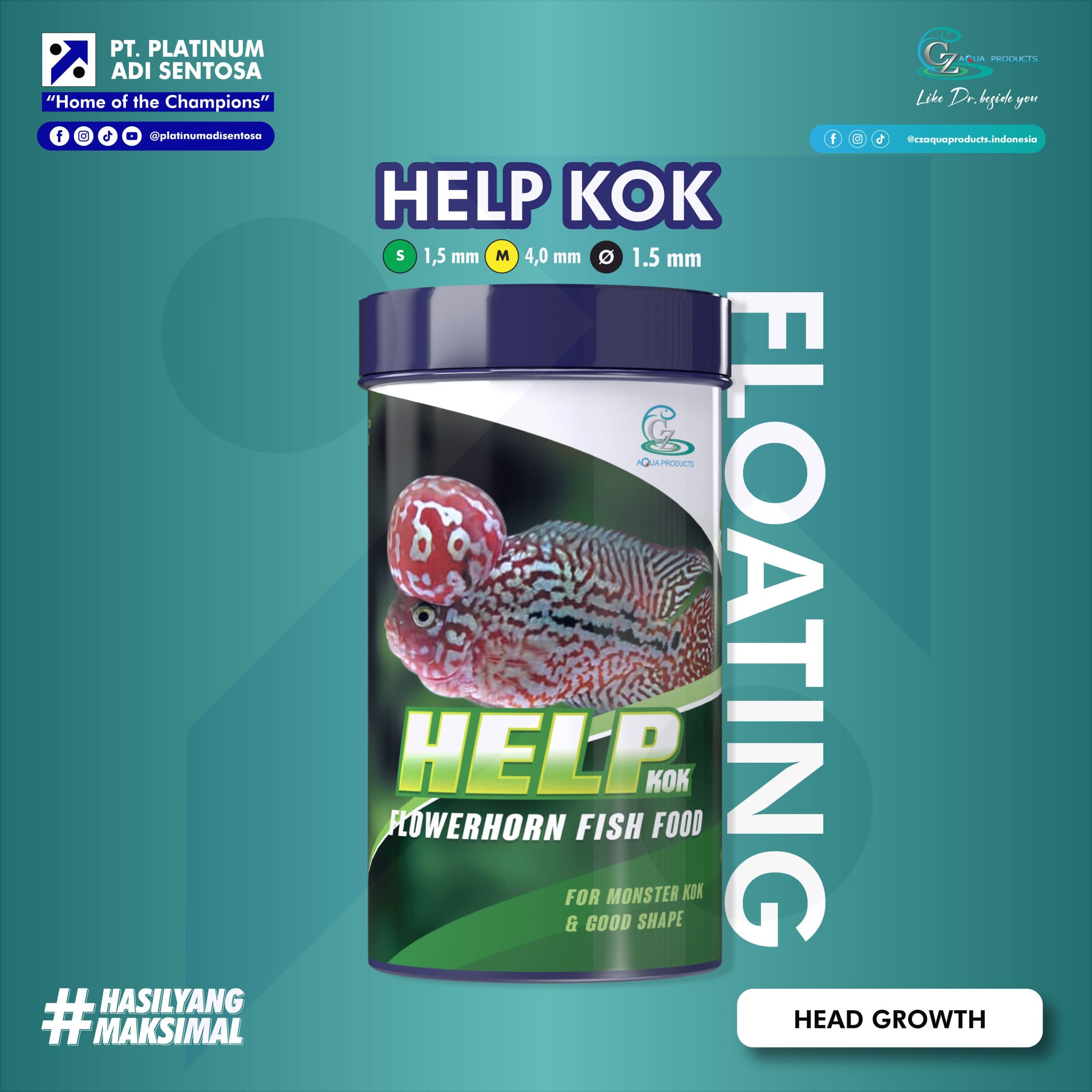 HELP KOK