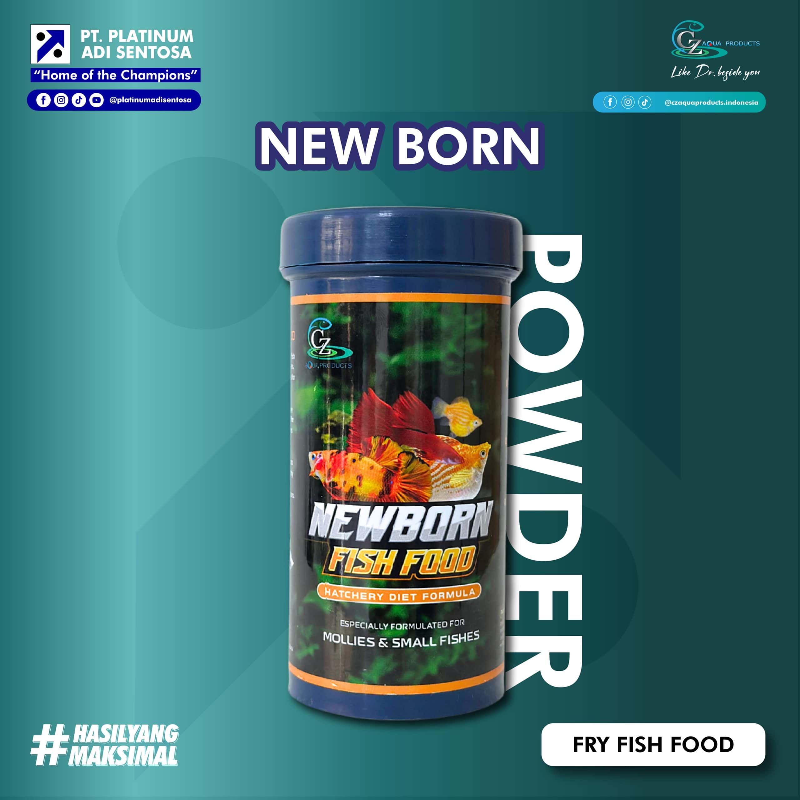 NEW BORN
