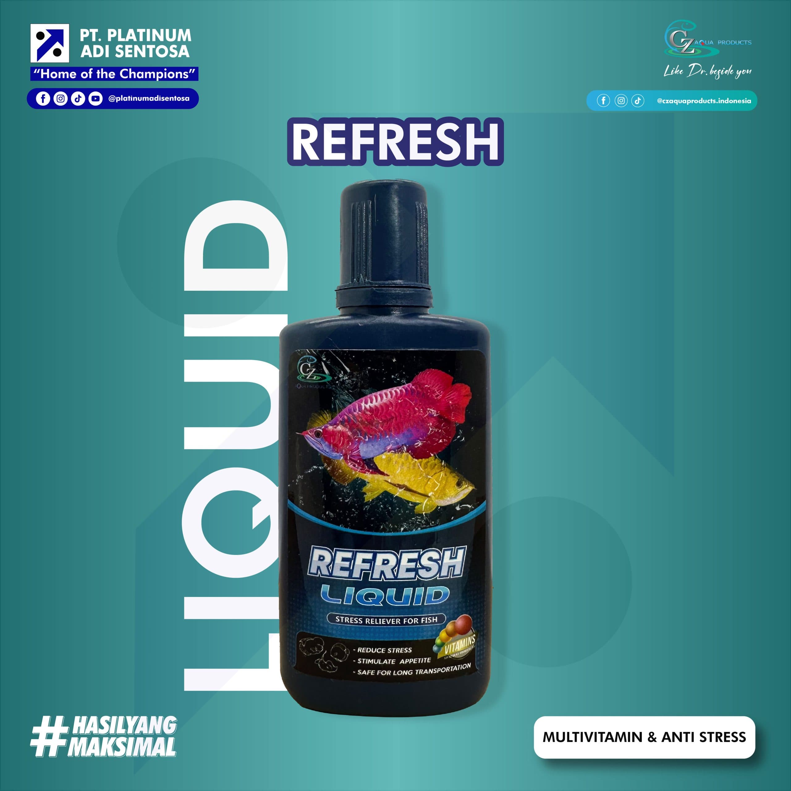 REFRESH