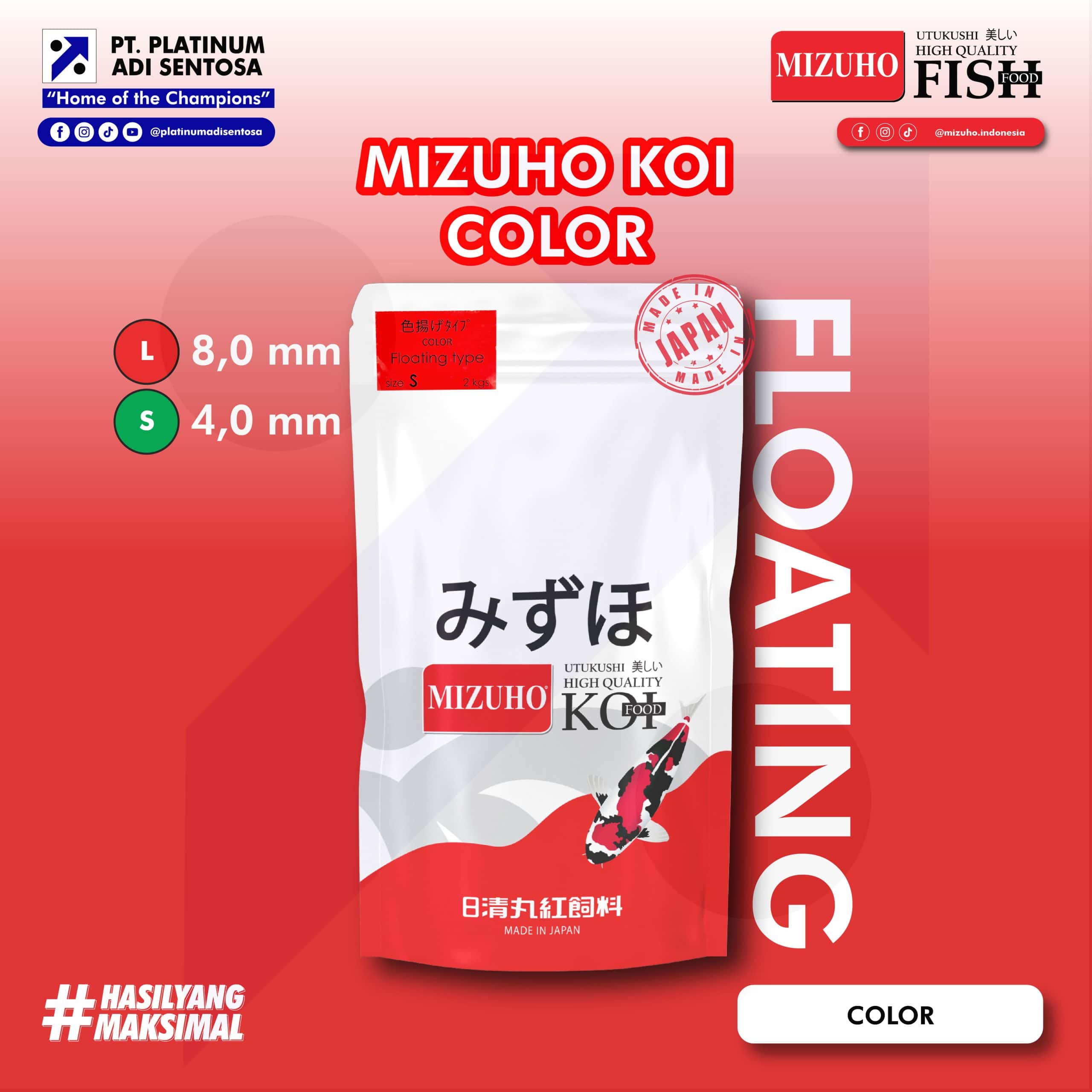 MIZUHO KOI COLOR