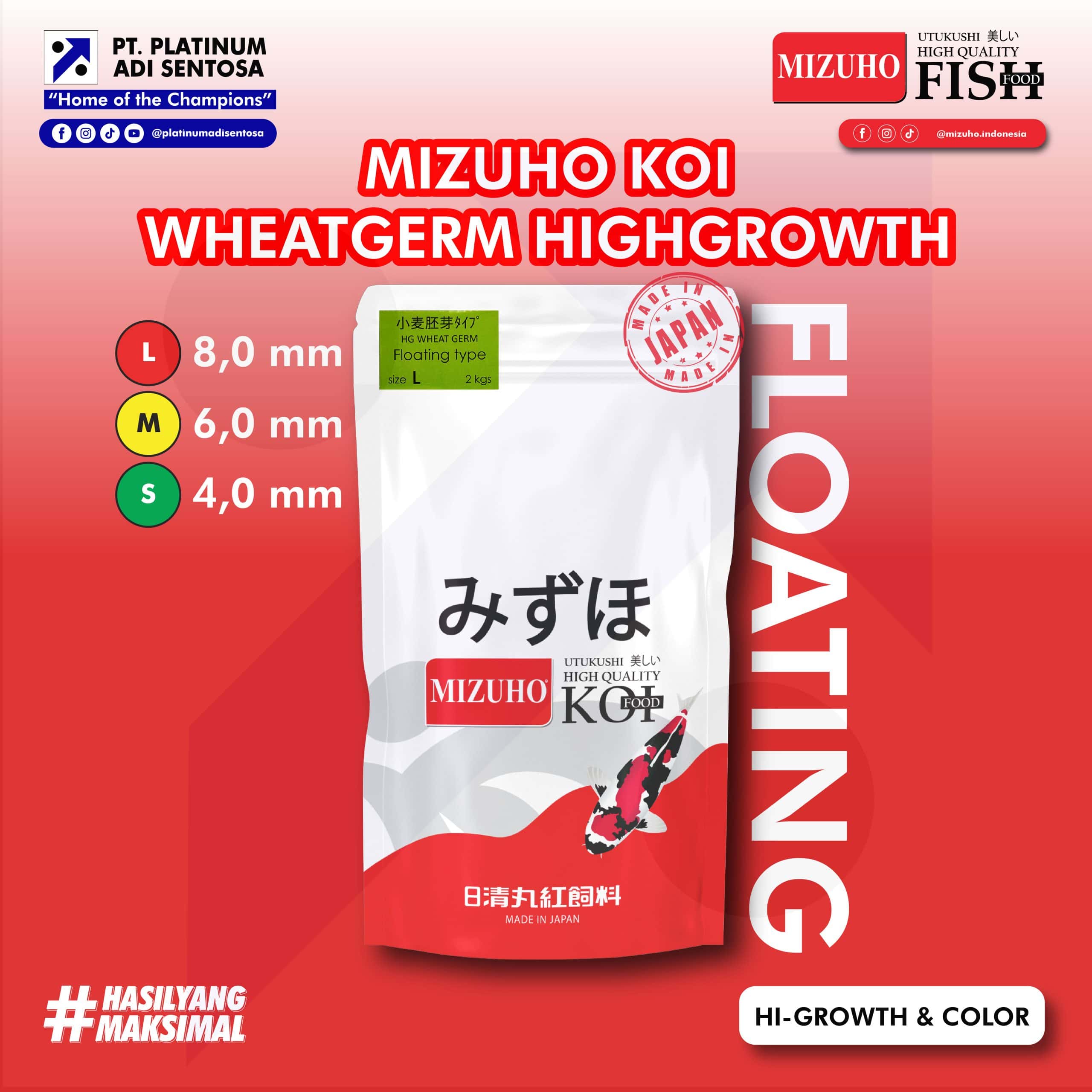 MIZUHO KOI WHEATGERM HG