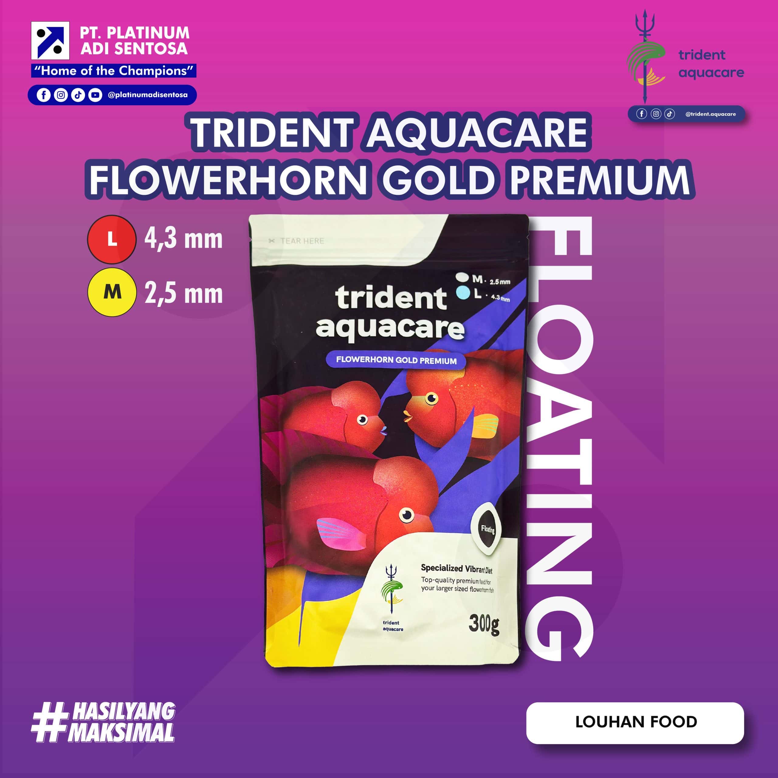 FLOWERHORN GOLD PREMIUM